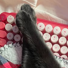 Profile picture for alex