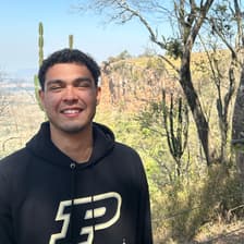 Profile picture for Henrique Paes