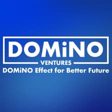 Profile picture for DOMiNO Ventures