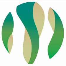 Profile picture for Morus