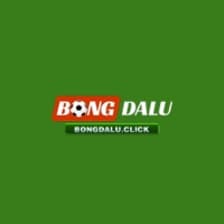 Profile picture for Bongdalu accountant