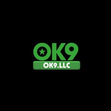 Profile picture for ok9 llc