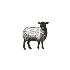 Profile picture for Cain & Co