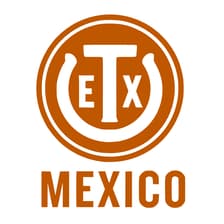 Profile picture for Texas Exes Mexico City Chapter
