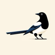 Profile picture for Patrick Boehler