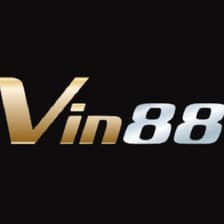 Profile picture for VIN88