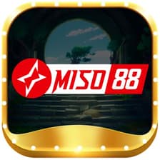 Profile picture for miso88