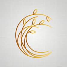 Profile picture for Contacto Capital