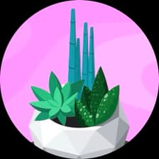 Profile picture for Plant Lady May 🌱