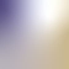 Profile picture for Sheila Guo