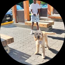 Profile picture for Marshall Maina