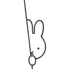 Profile picture for Jinjin Niu