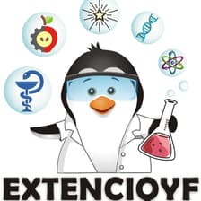 Profile picture for ExtenciQyF Uchile