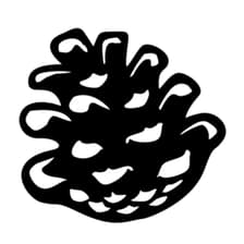 Profile picture for OPEN Talent Society