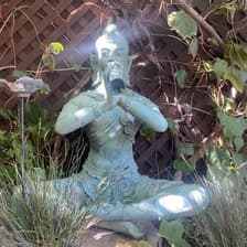 Profile picture for MusicGarden