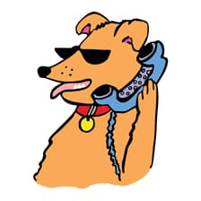 Profile picture for What's Up Dog