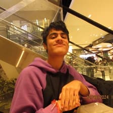 Profile picture for Arav Narula