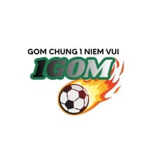 Profile picture for LINK 1GOM