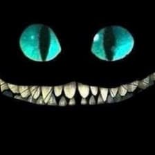 Profile picture for Diana Jung