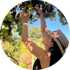 Profile picture for Pryash