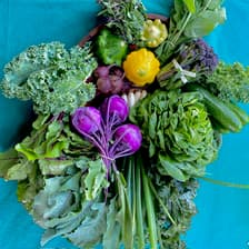 Profile picture for Common Good City Farm