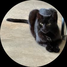 Profile picture for Tony Loehr