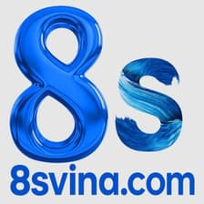 Profile picture for 8S VINA
