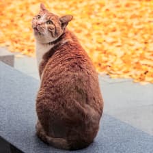 Profile picture for Constance