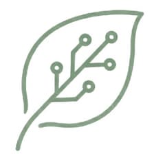 Profile picture for Jessica Wang