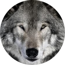 Profile picture for Cristobal Perdomo