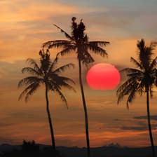 Profile picture for DCAC & Sponsors