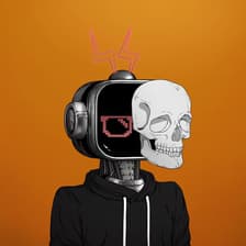 Profile picture for Harry Phan