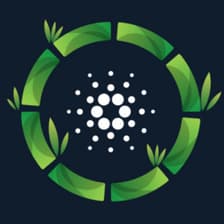 Profile picture for Bamboo Team