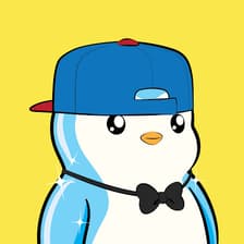 Profile picture for Daniel Salmeron
