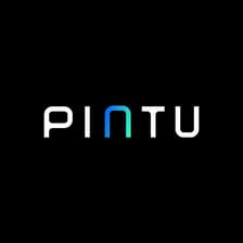 Profile picture for Pintu