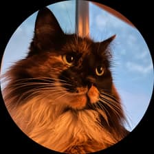 Profile picture for eya