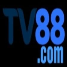 Profile picture for TV88