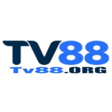 Profile picture for Tv88