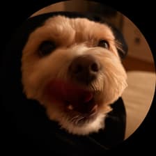 Profile picture for Ken Bambace