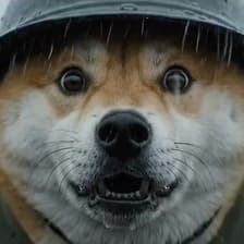 Profile picture for FA2 Ramen