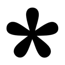 Profile picture for Tally