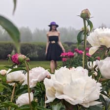 Profile picture for Kathleen Quinn Steeves