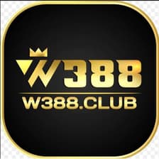 Profile picture for W3 88