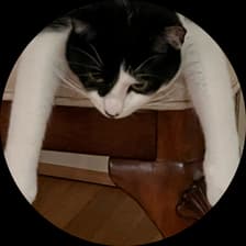 Profile picture for Dhruv Pai