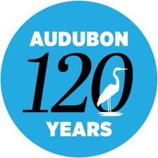 Profile picture for National Audubon Society