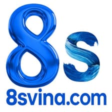 Profile picture for 8S VINA