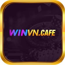 Profile picture for winvncafe