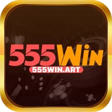 Profile picture for 555winart