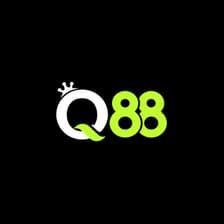 Profile picture for Q88 win