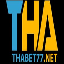 Profile picture for Thabet771 net